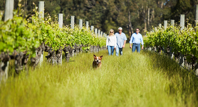 Passel Estate | Halliday Wine Companion